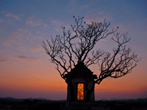 hanuman-temple-india_10949_990x742